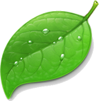 Coda